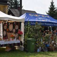 Zobacz w powiększeniu: Nadwieprzańskie spotkanie z historią, tradycją i religią „Chabry z poligonu” 2021 r. (25)